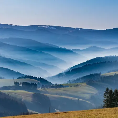 10 - Ferienresidenz Roseneck, Mit Schwimmbad In Bei Feldberg Todtnauberg