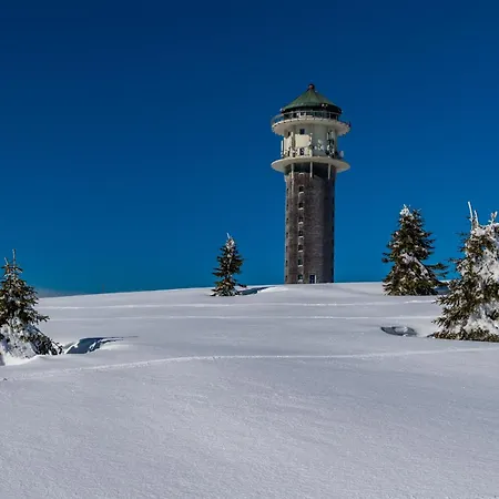 10 - Ferienresidenz Roseneck, Mit Schwimmbad In Bei Feldberg
