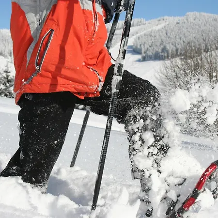 10 - Ferienresidenz Roseneck, Mit Schwimmbad In Bei Feldberg * Todtnauberg