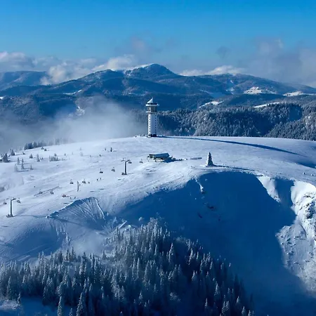 Daire 10 - Ferienresidenz Roseneck, Mit Schwimmbad In Bei Feldberg *
