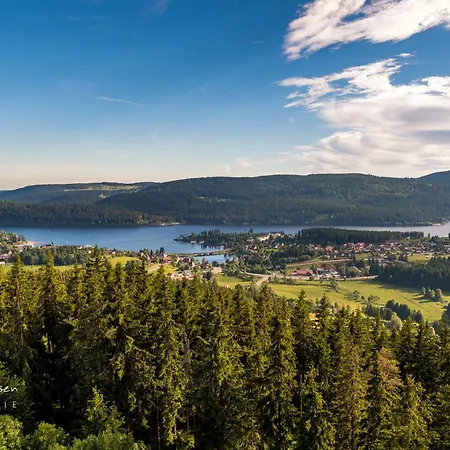 10 - Ferienresidenz Roseneck, Mit Schwimmbad In Bei Feldberg Apartment Todtnauberg