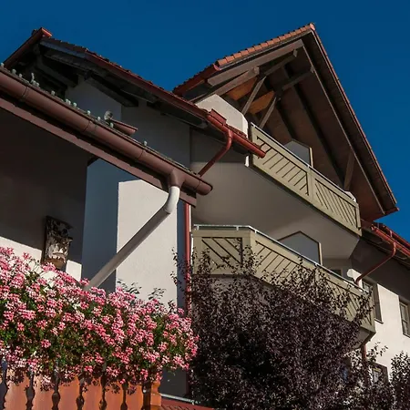 Apartment 10 - Ferienresidenz Roseneck, Mit Schwimmbad In Bei Feldberg *