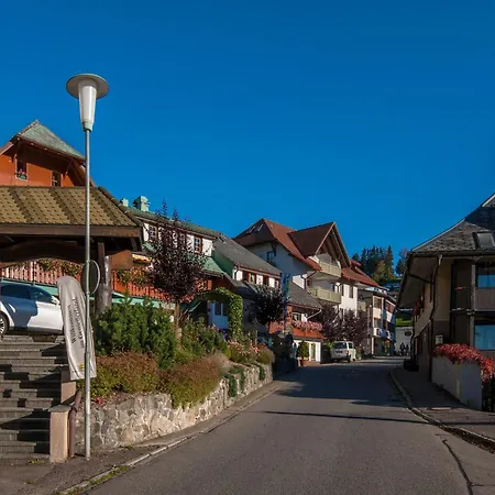 10 - Ferienresidenz Roseneck, Mit Schwimmbad In Bei Feldberg Daire *